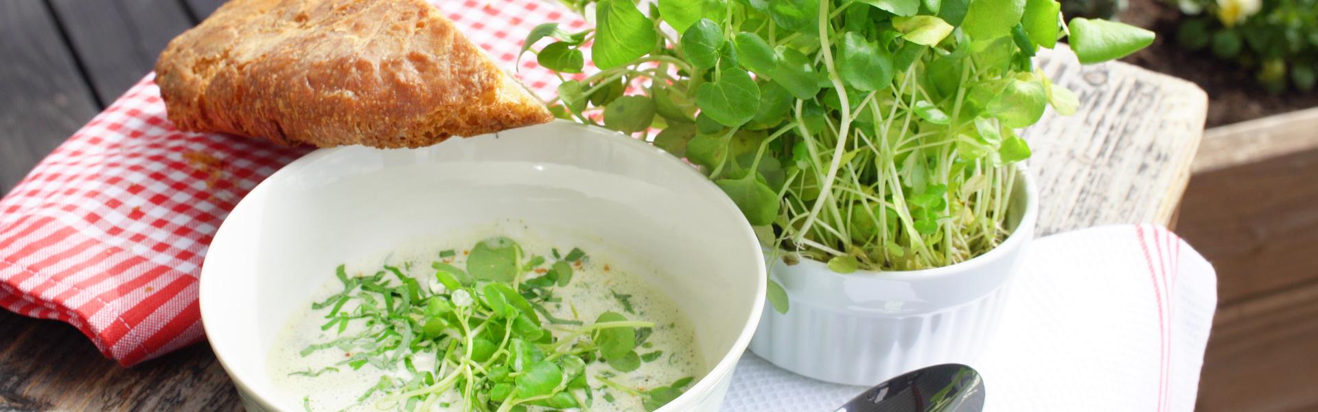 Brunnenkresse-Bärlauch-Suppe mit Speck-Chips Brunnenkresse-Bärlauch-Suppe mit Speck-Chips