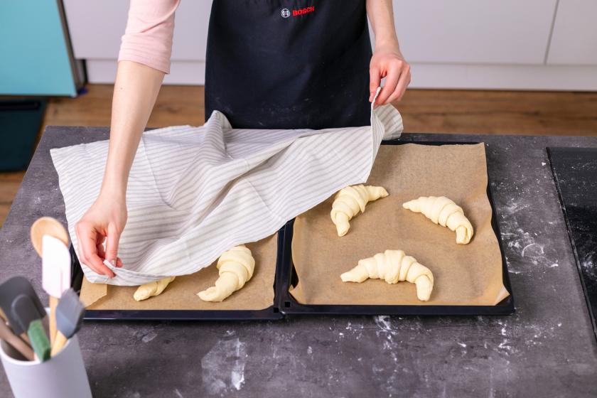 Croissants liegen auf einem Backblech und werden mit einem Küchentuch abgedeckt.