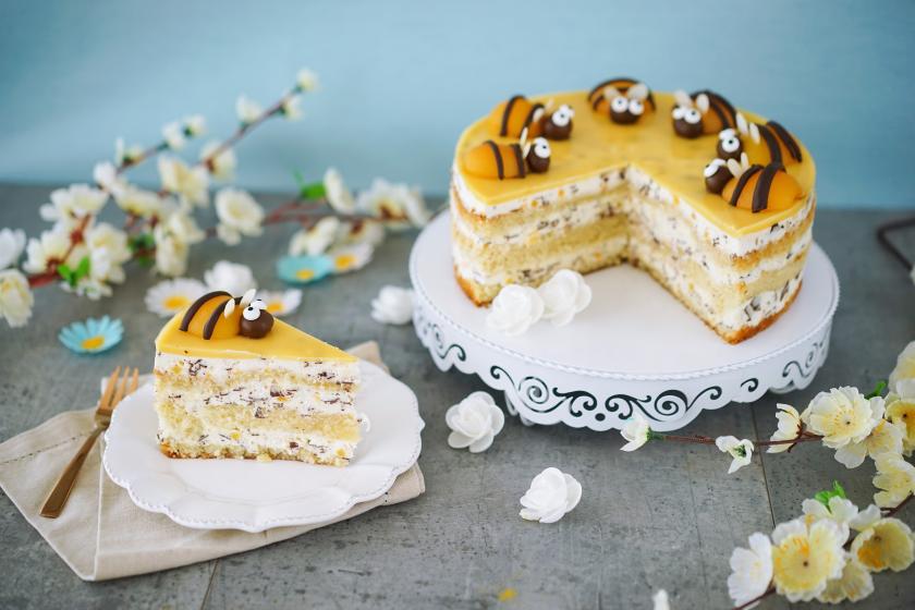 Stracciatella-Torte mit Aprikosen | Rezepte von Simply Yummy