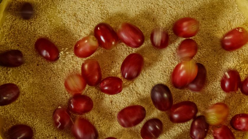 Trauben liegen auf dem Guss für den Traubenkuchenkuchen.