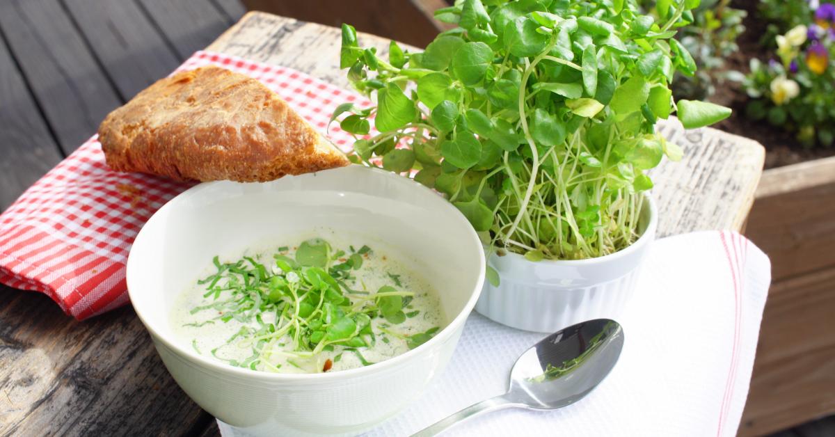 Brunnenkresse-Bärlauch-Suppe mit Speck-Chips